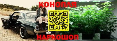 jwh Моздок
