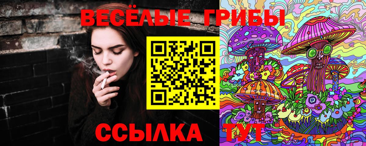 Унеча  Галлюциногенные грибы мицелий  Вход с VPN 